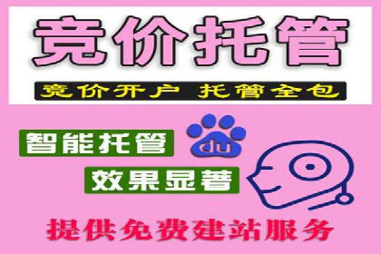 成功案例：SEM代运营托管公司如何助力企业拓展市场